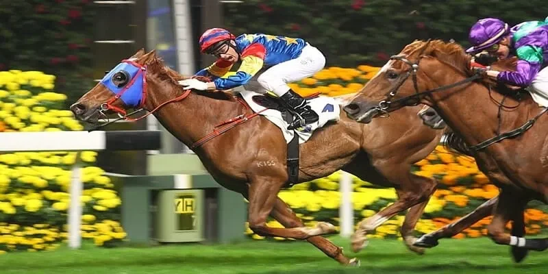 Lịch sử đối đầu trong cuộc đua cá cược đua ngựa